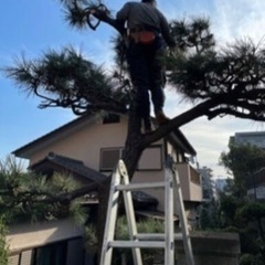 ！体を動かし、お客様に感謝をされるお仕事ですスタッフ大募集！！の画像