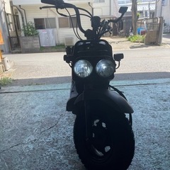 自賠責保険　令和7年4月まで　ズーマー50 14585.2km 新品タイヤバッテリー交換済みサイドスタンドの画像