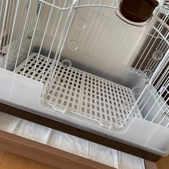 ウサギ等小動物用ゲージ、ウサギの餌、牧草、ペットシーツ、人工芝生
