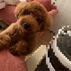 息子にアレルギー反応がでて、血液検査の結果も良くないため泣く泣く...