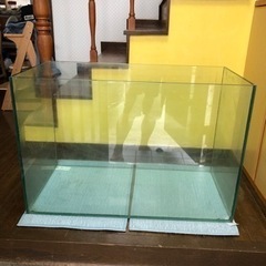 ADA水槽の画像