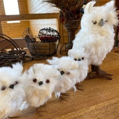 フクロウの親子