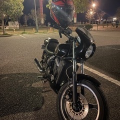エリミネーター250se