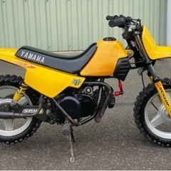 ヤマハPW50 エンジン好調