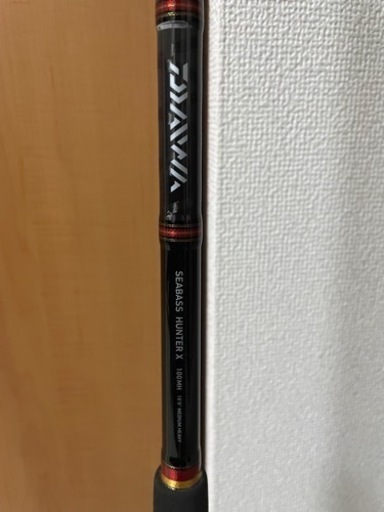 DAIWA SEABASS HUNTER X 100MH
