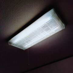蛍光灯タイプの電球3セットの画像