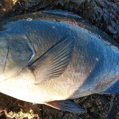 海釣りデビューのお手伝いします【障害をおもちの方限定】
