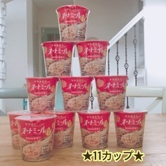 オートミール★まろやかチキン味★11カップセット