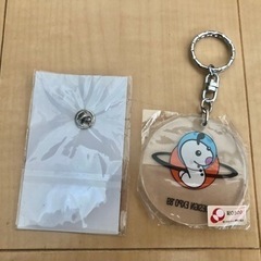 【💡無料💡】2011山口国体キャラクターピンバッジ＆エキスポ'89の画像