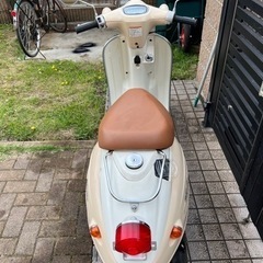 スズキ　ヴェルデ　決定の画像