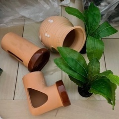 魚の隠れ家（土管、たこつぼ）と水草のセット