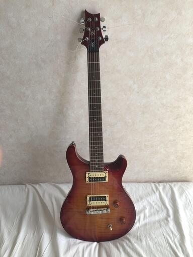 Paul Reed Smith (PRS) SE Custom 22 【ポール・リード・スミス】