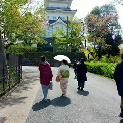 5/3(祝火)着物で北条五代まつり in小田原 - 小田原市