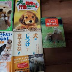 犬の本の詰め合わせです！の画像