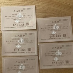 十勝川温泉豊州亭.入浴券5枚セット