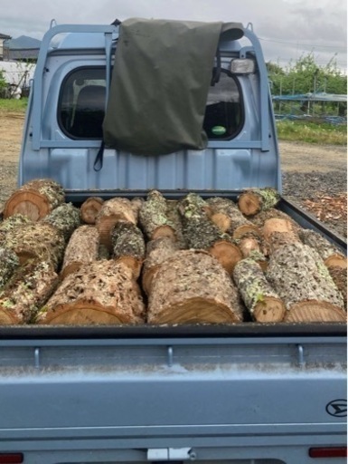 薪用　(ナラの原木丸太)