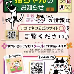 　急募🔴本文をよくご覧下さい🙇‍♀️🔴簡単な事務+　簡単なお掃除...
