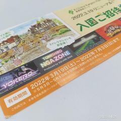 城島入場券　5名まで無料　7/3までの画像