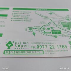 城島入場券　5名まで無料　7/3までの画像