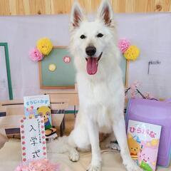 トリマー