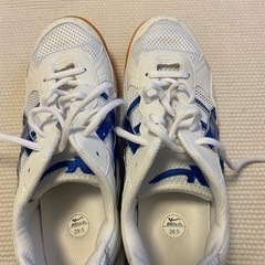 福岡市中学校　体育館シューズ（美品）