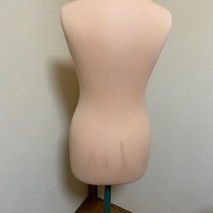 トルソーの画像