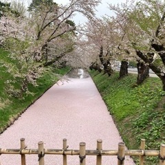 初めまして