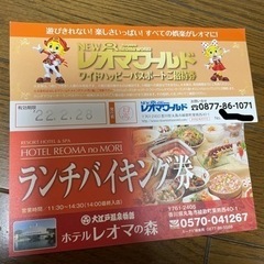レオマワールドチケット1枚　ランチ券1枚の画像