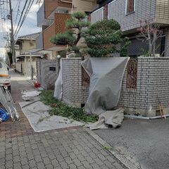 剪定　伐採　草刈