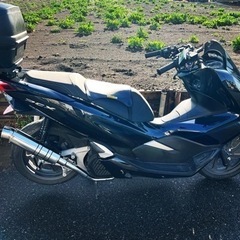 ホンダ　PCX 125 JF81 ジムニー興味あり