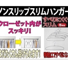 サワフジ　ノンスリップスリムハンガー19本の画像