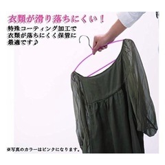 サワフジ　ノンスリップスリムハンガー19本の画像