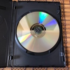 SALE！テッド ted    海外版 美品の画像