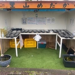 里山公園前　メダカ•タマミジンコ　無人販売所　4/27出店