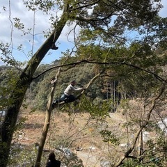 草刈り、木の伐採、庭木の剪定、除草剤撒きやります！（山口県内）