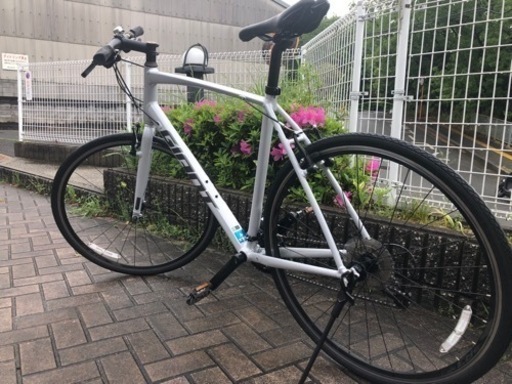 緊急値下げ　５月末まで