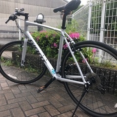 緊急値下げ　５月末まで