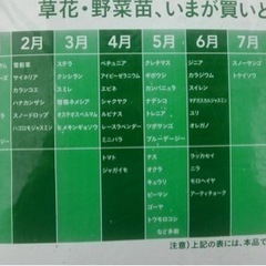 家庭菜園の仲間募っています？ - メンバー募集