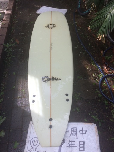 ファンボード / サーフボード　ウェットスーツ無料