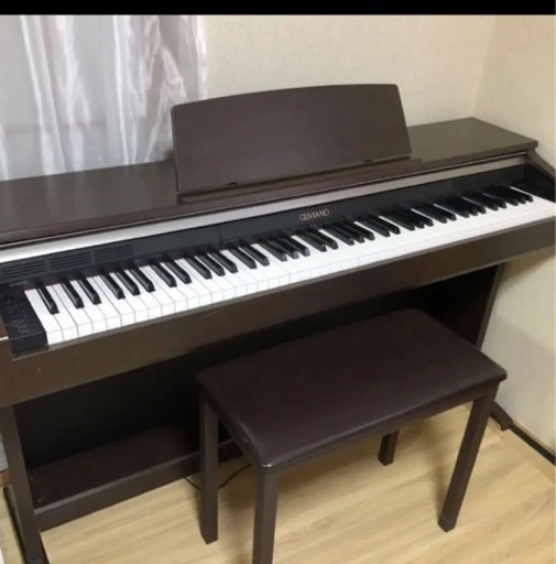 お引き取り限定Casio Celviano デジタルピアノAP-220