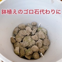 軽石(大) 園芸　ドライガーデン 盆栽　1個　¥100の画像