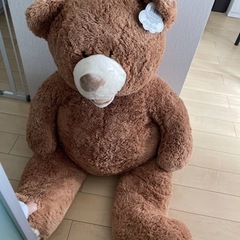 コストコ ベア ジャンボ