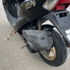 HONDA ライブディオZX 規制前 AF35の画像