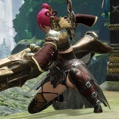 モンハンライズ(Switch版)お仲間さん募集です！