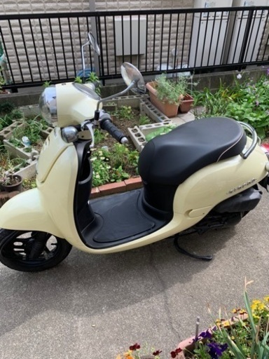 ホンダ　ジョルノ　AF70 2011年式