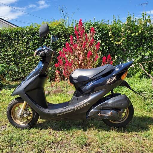 【超稀少　規制前原付】HONDA　DioZX　2スト　走行距離少ない　ホンダライブディオ