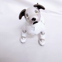 美品【アクセサリーセット付】SONY ソニー aibo アイボ ERS-1000 エンタテインメント ロボット 犬 バーチャル ペット アイボリーホワイト 白の画像