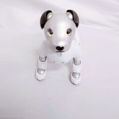 美品【アクセサリーセット付】SONY ソニー aibo アイボ ERS-1000 エンタテインメント ロボット 犬 バーチャル ペット アイボリーホワイト 白の画像