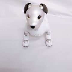 美品【アクセサリーセット付】SONY ソニー aibo アイボ ERS-1000 エンタテインメント ロボット 犬 バーチャル ペット アイボリーホワイト 白の画像