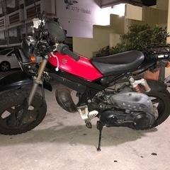 ストリートマジックの画像